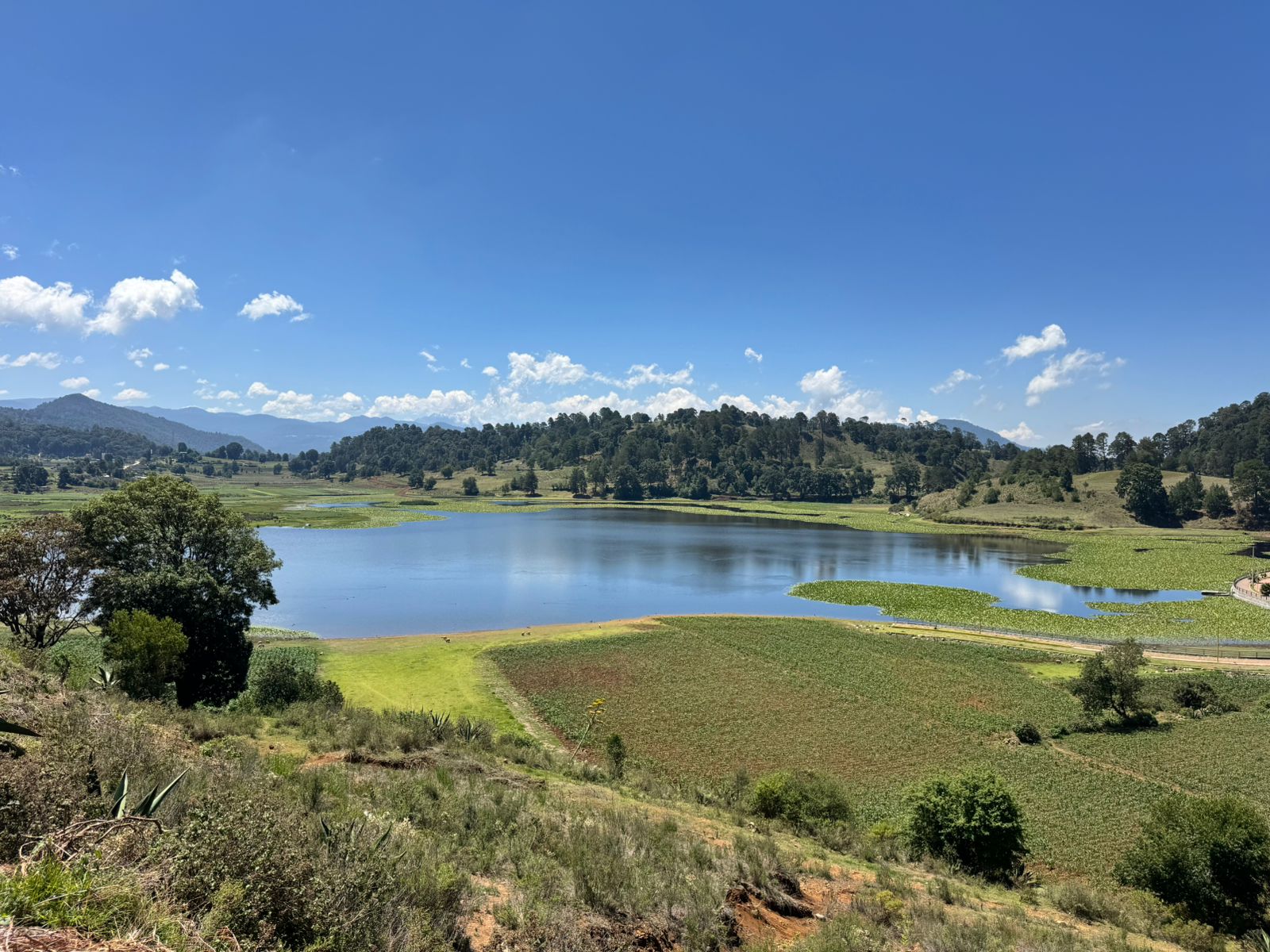 Foto real: paisaje de bosque y lago en Amanalco