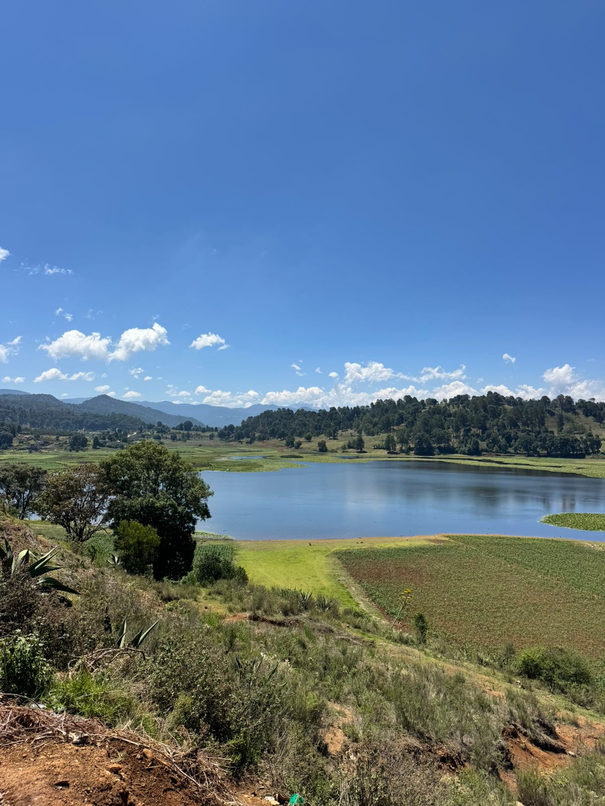 Foto real: entorno natural a dos horas de la CDMX